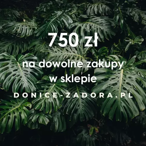 Karta podarunkowa DONICE-ZADORA.PL - 750 zł